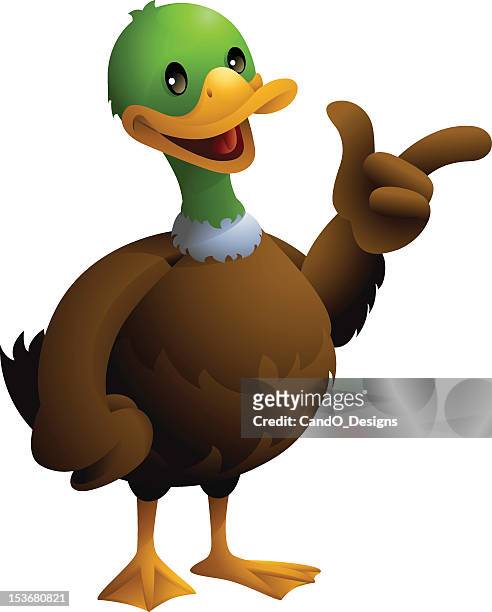 388 Duck Cartoon Characters Photos and Premium High Res Pictures - Getty  Images