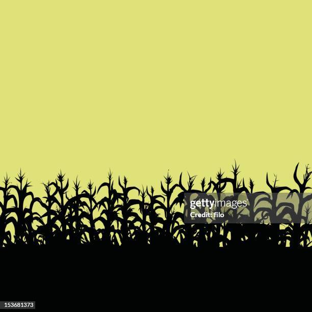 cornfield - fall harvest field stock illustrations