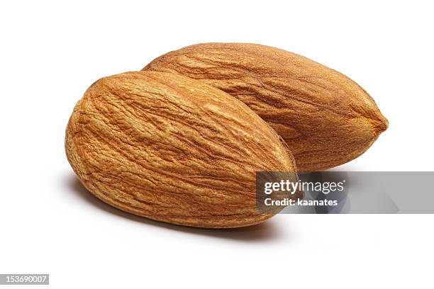 zwei mandeln - mandel stock-fotos und bilder