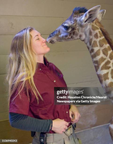 Hoofstock keeper Kelli Barron works the the new baby giraffe at the Houston Zoo. The giraffe was born at the Houston Zoo at 6:30 a.m. Jan. 30. The...