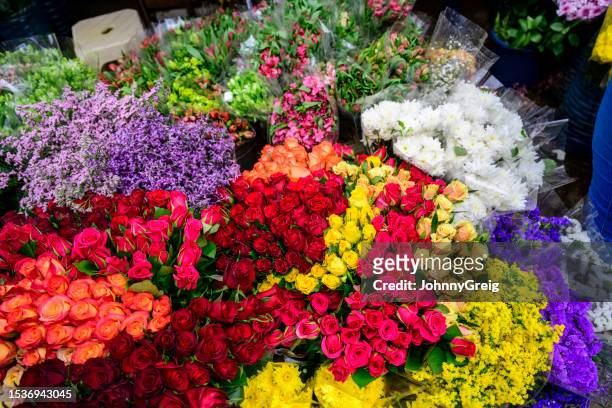 fresh flowers for sale - flower bucket stock pictures, royalty-free photos & images