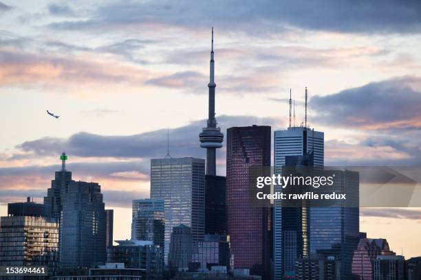 toronto skyline. - toronto stock-fotos und bilder