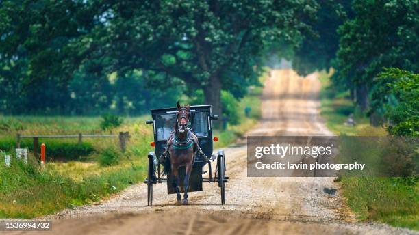amish buggy country road - amish photos et images de collection