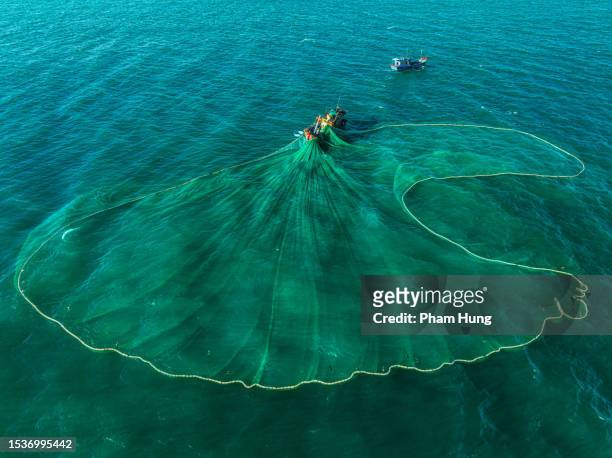 netting anchovies  on tuy hoa sea - anchovy stock pictures, royalty-free photos & images