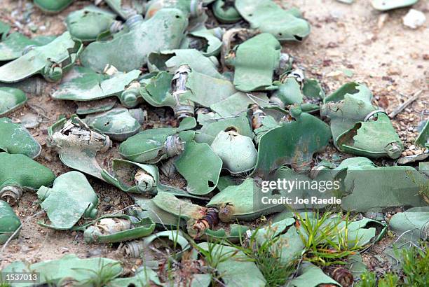 Butterfly mines lay strewn on the ground April 29, 2002 at the Bagram Air Base in Afghanistan. Twenty-two years of continuous combat has left...