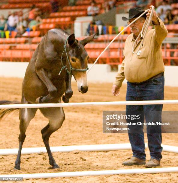 Houston Rodeolay Lay 22 Larry Coon Stock Photos, High-Res Pictures, and Images - Getty Images