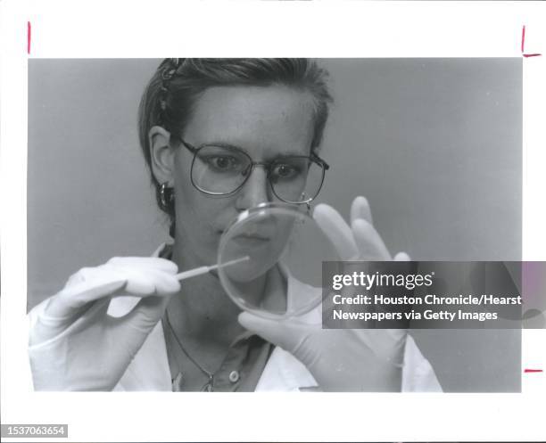 Biotechnology Helene B. Marshall, a senior research assistant at Triplex Pharmaceuticals in the Woodlands, applies bacteria to an Agar plate as part...