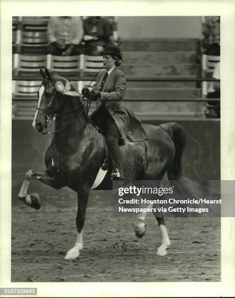 Nancy Branicks shows Flash Gordon MW, owned by John Wrath... Of Longview, to the blue in the three-gaited saddlebred pleasure class at the Pin Oak...