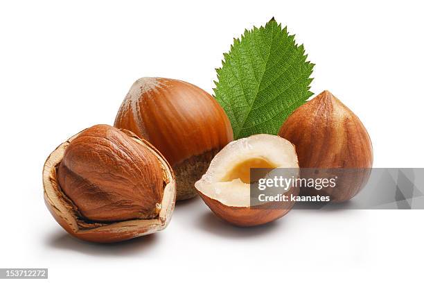 hazelnuts 構成 - ヘーゼルナッツ ストックフォトと画像