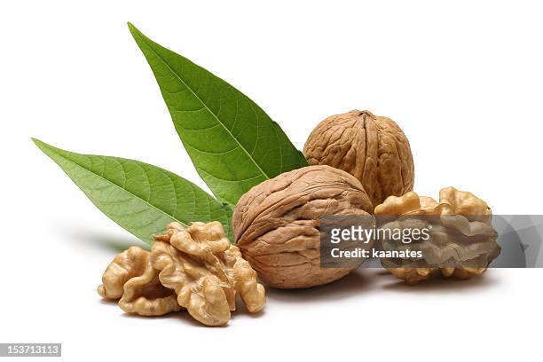 walnuts with leaves isolated on white background - walnuts stockfoto's en -beelden