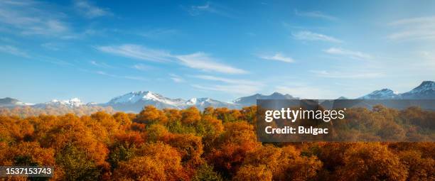 idyllic and relaxing autumn scenery - outubro imagens e fotografias de stock