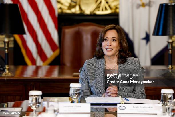 Vice President Kamala Harris speaks during a meeting on Artificial Intelligence in her ceremonial office in the Eisenhower Executive Office Building...