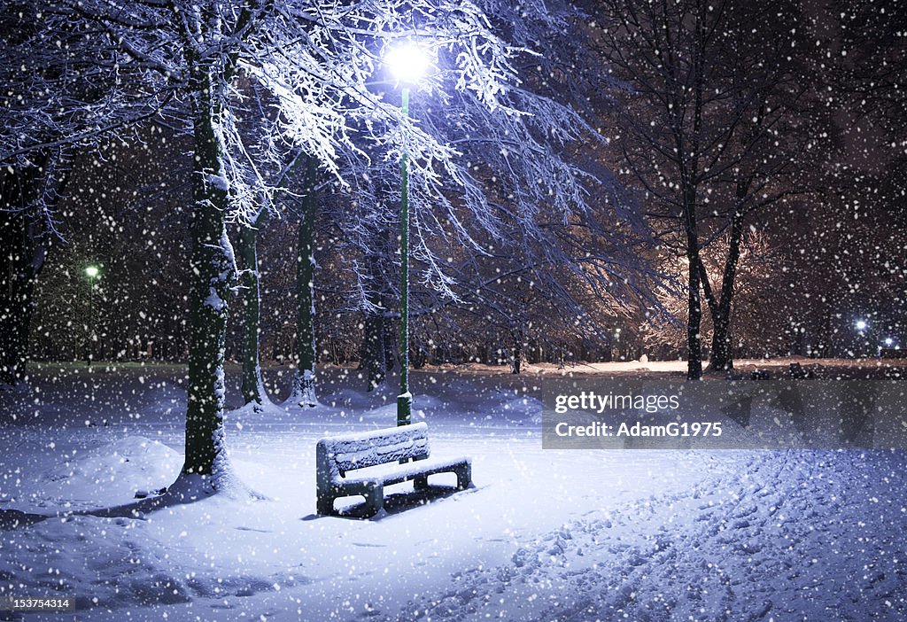 Winter park at night