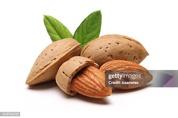 almonds - nutshell stock pictures, royalty-free photos & images