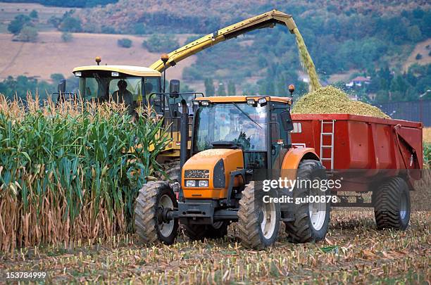 récolte de maïs - harvesting stock photos et images de collection