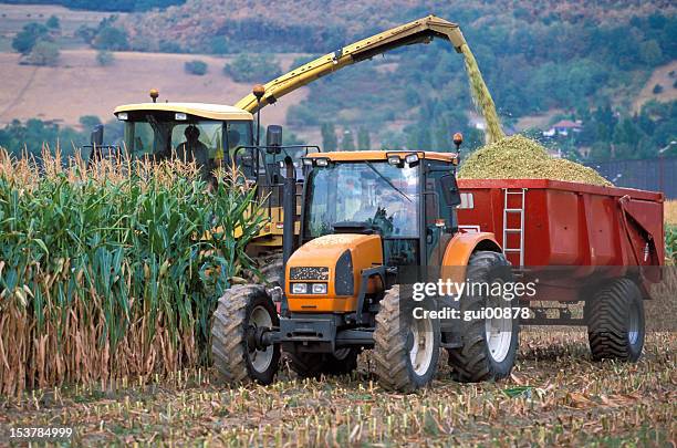 machine harvesting corn on the field - combine harvester stock pictures, royalty-free photos & images