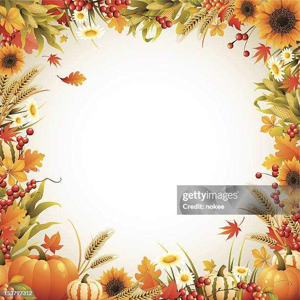harvest - boder - thanksgiving stock illustrations