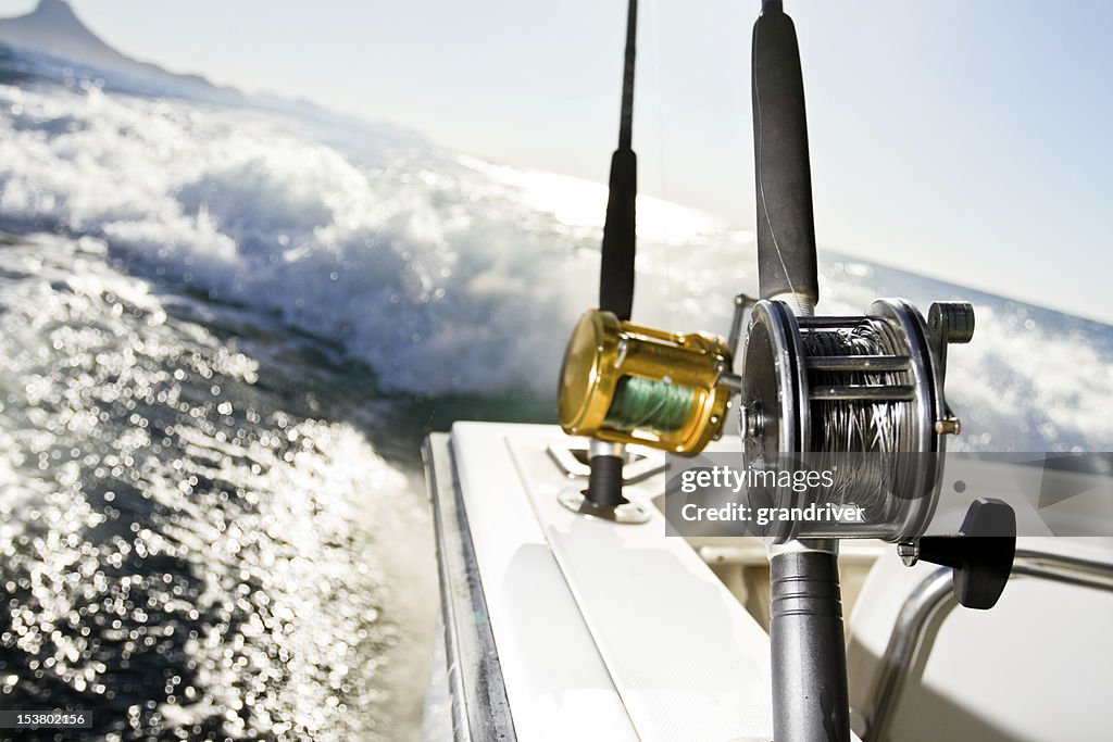 Fishing Reel