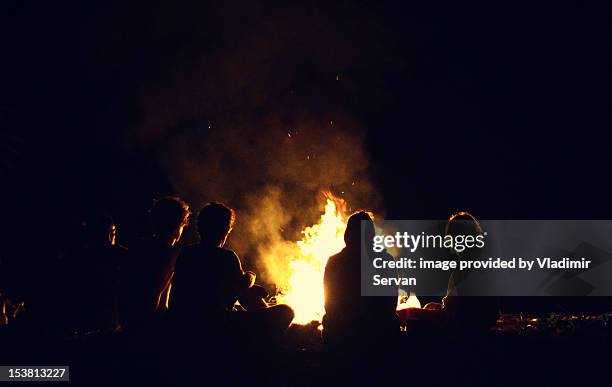 friends by bonfire - campfire fotografías e imágenes de stock