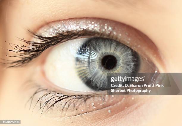 close up blue gray eye - grey eyes stock pictures, royalty-free photos & images