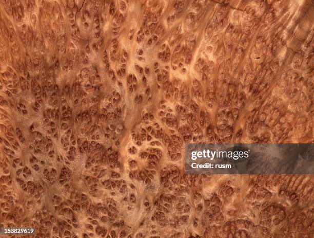 giant sequoia holz hintergrund - burr stock-fotos und bilder