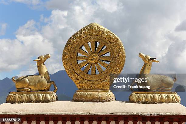 Dharma Tree Example Dharma Symbol Photos et images de collection - Getty Images
