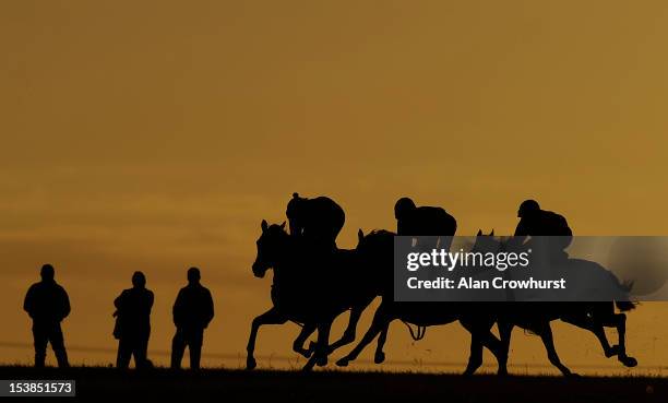 Early morning exercise on racecourse side gallops at Newmarket racecourse on October 10, 2012 in Newmarket, England.