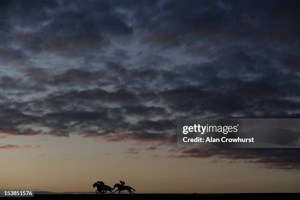 Early morning exercise on racecourse side gallops at Newmarket racecourse on October 10, 2012 in Newmarket, England.