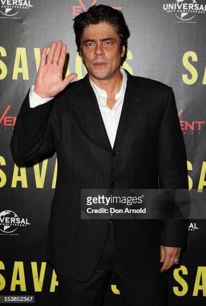 Actor Benicio Del Toro poses for media during a photo call for the "Savages" at Event Cinemas George street on October 10, 2012 in Sydney, Australia.