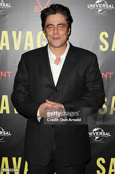 Actor Benicio Del Toro poses for media during a photo call for the movie "Savages" at Event Cinemas, George Street on October 10, 2012 in Sydney,...