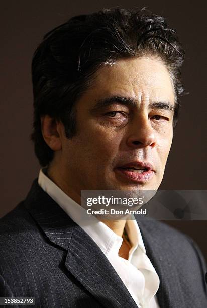 Actor Benicio Del Toro poses for media during a photo call for the movie "Savages" at Event Cinemas, George Street on October 10, 2012 in Sydney,...