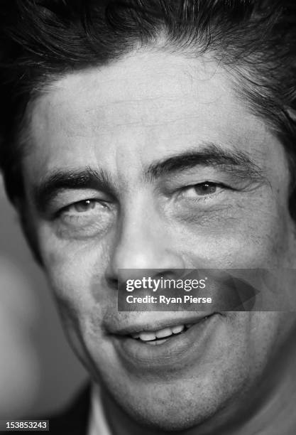 Actor Benicio Del Toro poses for media during a photo call for the "Savages" at Event Cinemas George Street on October 10, 2012 in Sydney, Australia.