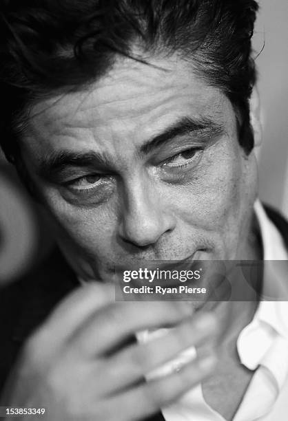 Actor Benicio Del Toro poses for media during a photo call for the "Savages" at Event Cinemas George Street on October 10, 2012 in Sydney, Australia.