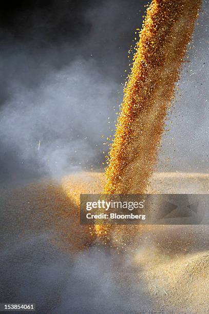 Corn grain pours from a funnel into the hold of the Dutch cargo ship Amice II for shipping at Granexport AD port, part of MK Group, on the Danube...