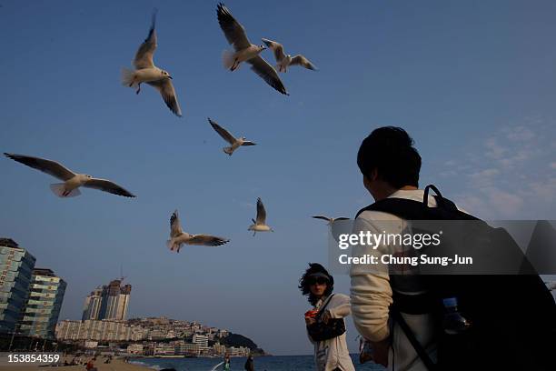 Festival-goers feed gulls at the BIFF Plaza during the 17th Busan International Film Festival at Busan Cinema Center on October 10, 2012 in Busan,...