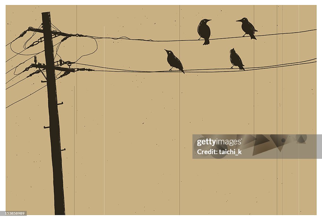 Telegraph pole