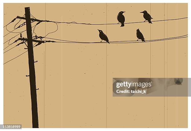 telegraph pole - crows stock illustrations