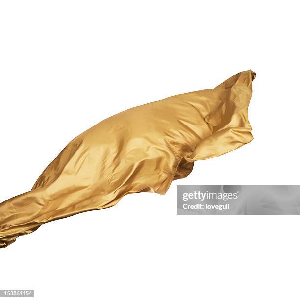 Ribbon Fly Photos and Premium High Res Pictures - Getty Images