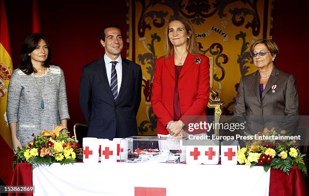 Princess Elena of Spain attends Red Cross Fundraising Day on October 10, 2012 in Madrid, Spain.