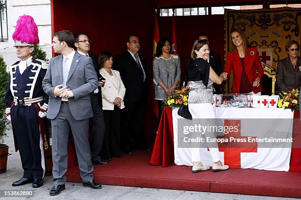 Princess Elena of Spain attends Red Cross Fundraising Day on October 10, 2012 in Madrid, Spain.