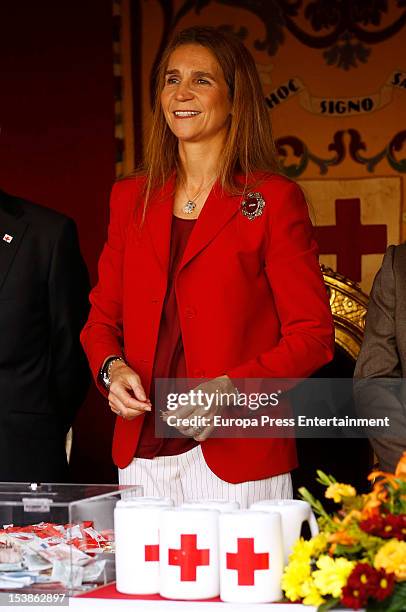 Princess Elena of Spain attends Red Cross Fundraising Day on October 10, 2012 in Madrid, Spain.