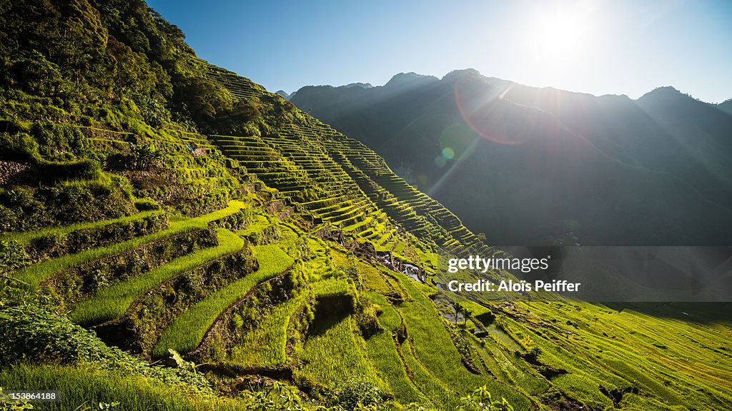 Batad rice terraces