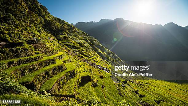 batad rice terraces - luzon - fotografias e filmes do acervo