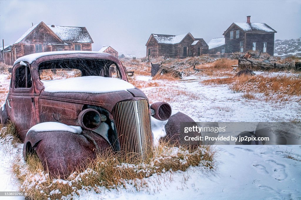Bodie Winter