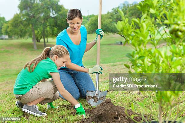 mother and young girl planting tree - digging hole stock pictures, royalty-free photos & images