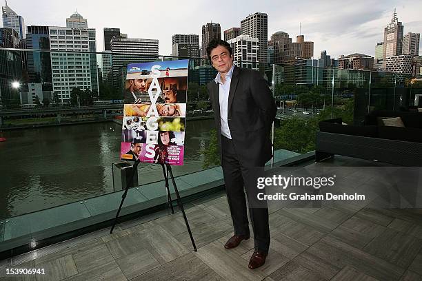 Actor Benicio Del Toro poses during a photocall for 'Savages' at Club 23 on October 11, 2012 in Melbourne, Australia.