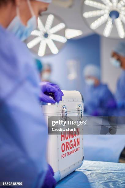 organ transplant - surgical mask and gloves stock pictures, royalty-free photos & images