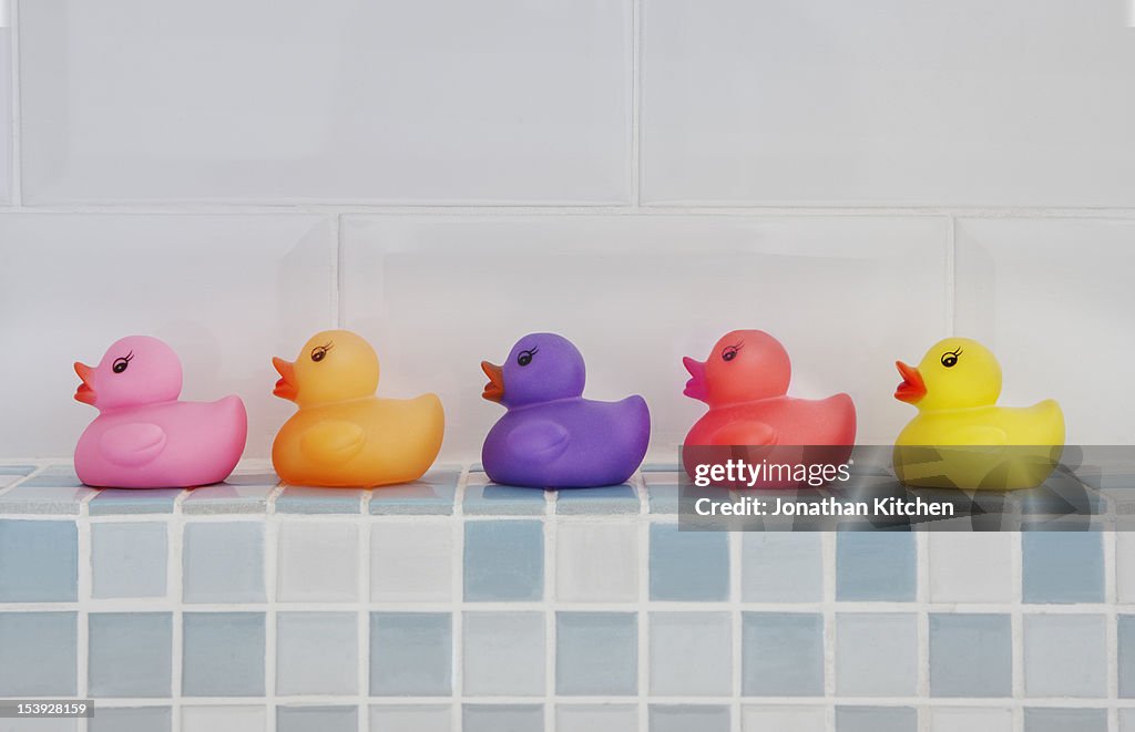 Coloured Rubber Ducks