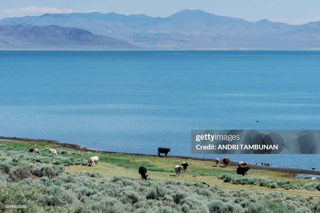 US-ENVIRONMENT-DROUGHT-WATER
