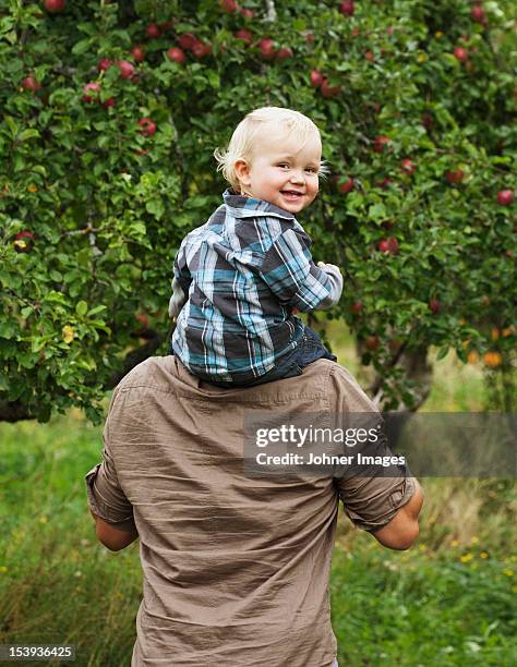 father picking apples with his young son - carrying-a-person-on-shoulders stock pictures, royalty-free photos & images